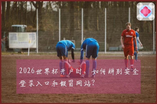 2026世界杯开户时，如何辨别安全登录入口和假冒网站？