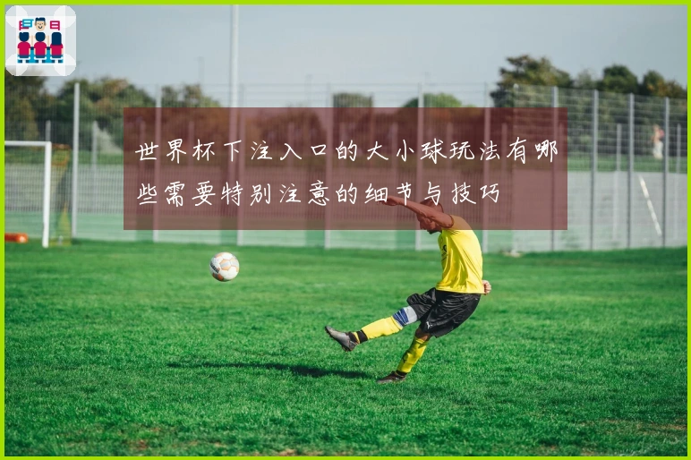 世界杯下注入口的大小球玩法有哪些需要特别注意的细节与技巧