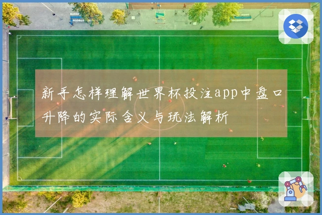 新手怎样理解世界杯投注app中盘口升降的实际含义与玩法解析