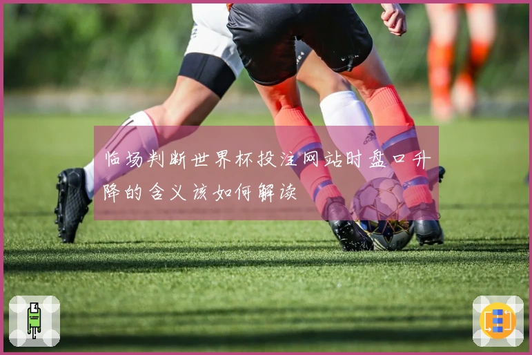 临场判断世界杯投注网站时盘口升降的含义该如何解读