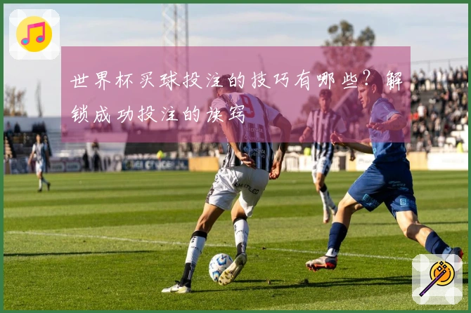 世界杯买球投注的技巧有哪些?解锁成功投注的诀窍