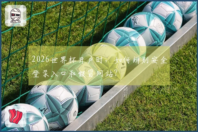 2026世界杯开户时，如何辨别安全登录入口和假冒网站？