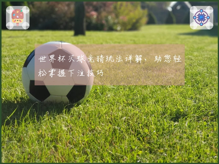 世界杯买球竞猜玩法详解，助您轻松掌握下注技巧