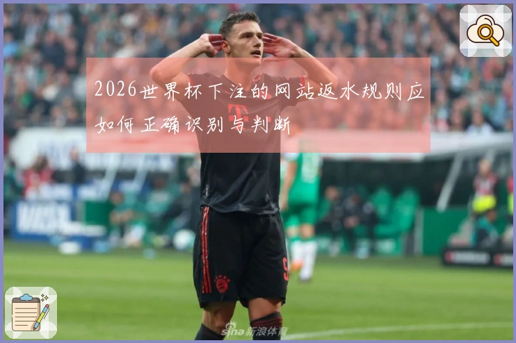 2026世界杯下注的网站返水规则应如何正确识别与判断