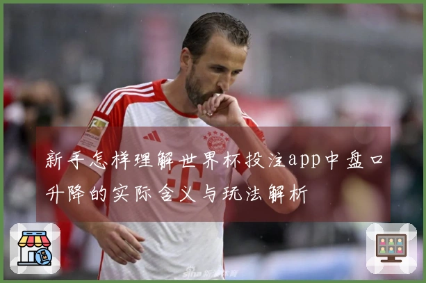新手怎样理解世界杯投注app中盘口升降的实际含义与玩法解析