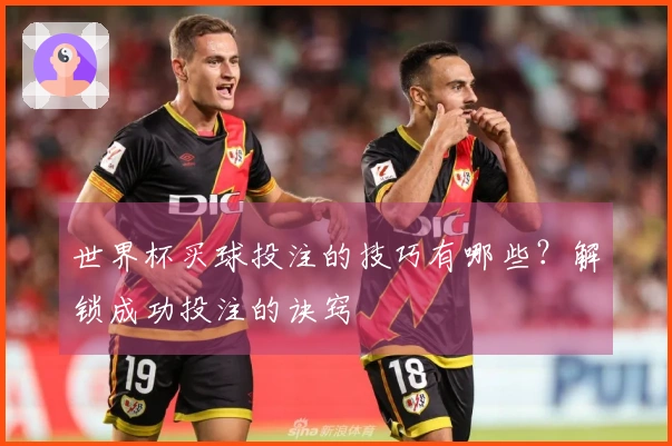 世界杯买球投注的技巧有哪些？解锁成功投注的诀窍