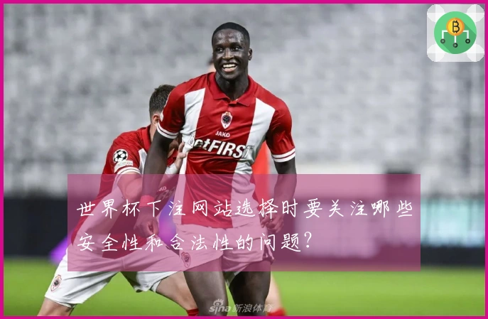 世界杯下注网站选择时要关注哪些安全性和合法性的问题？